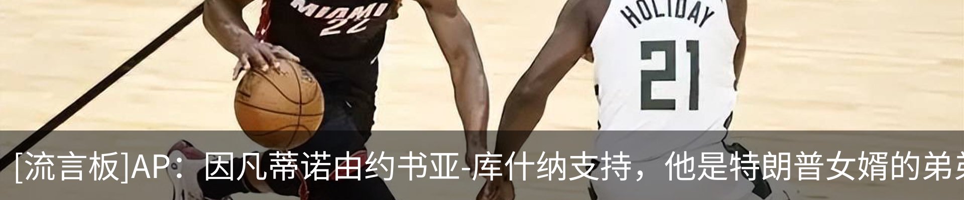 最新动态